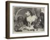 Alexander and Diogenes-Edwin Landseer-Framed Giclee Print