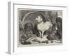 Alexander and Diogenes-Edwin Landseer-Framed Giclee Print