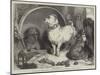 Alexander and Diogenes-Edwin Landseer-Mounted Giclee Print