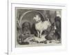 Alexander and Diogenes-Edwin Landseer-Framed Giclee Print