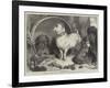 Alexander and Diogenes-Edwin Landseer-Framed Giclee Print