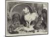 Alexander and Diogenes-Edwin Landseer-Mounted Giclee Print