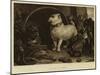 Alexander and Diogenes-Edwin Landseer-Mounted Giclee Print