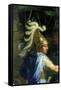 Alexander and Porus, C1673-Charles Le Brun-Framed Stretched Canvas