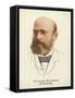 Alexander Butlerov, Russian Chemist-null-Framed Stretched Canvas