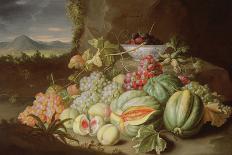 Still Life with Fruit-Alexander Coosemans-Giclee Print
