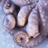 Fresh Octopus (Close-Up)-Alexander Feig-Photographic Print