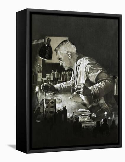 Alexander Fleming and the Discovery of Penicillin-Neville Dear-Framed Stretched Canvas