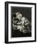 Alexander Fleming and the Discovery of Penicillin-Neville Dear-Framed Premium Giclee Print