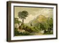 Brown Frame