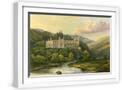 White Frame
