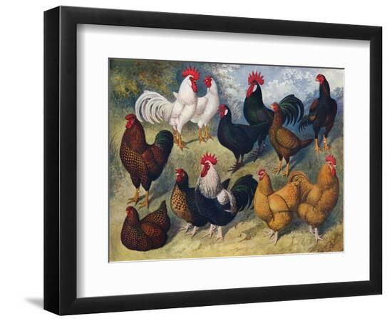 Giclee Print, , large