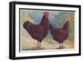 Black Frame