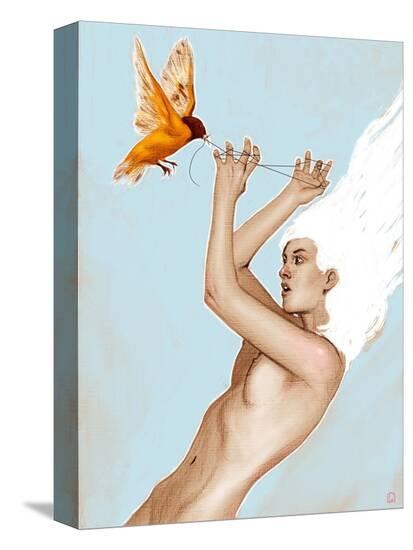 Stretched Canvas Print, , large