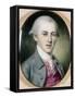 Alexander Hamilton-Charles Willson Peale-Framed Stretched Canvas