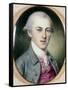 Alexander Hamilton-Charles Willson Peale-Framed Stretched Canvas