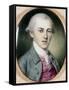 Alexander Hamilton-Charles Willson Peale-Framed Stretched Canvas