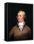 Alexander Hamilton-John Trumbull-Framed Stretched Canvas