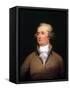 Alexander Hamilton-John Trumbull-Framed Stretched Canvas