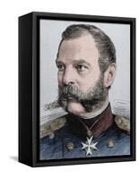 Alexander Ii (1818-1881). Tsar of Russia (1855-1881)-Prisma Archivo-Framed Stretched Canvas