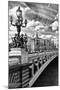 Alexander III Bridge - Paris - France-Philippe Hugonnard-Mounted Premium Photographic Print