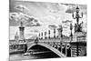 Alexander III Bridge view - Paris - France-Philippe Hugonnard-Mounted Photographic Print