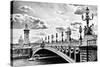 Alexander III Bridge view - Paris - France-Philippe Hugonnard-Stretched Canvas