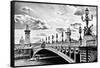 Alexander III Bridge view - Paris - France-Philippe Hugonnard-Framed Stretched Canvas