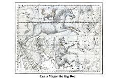 Canis Major the Big Dog-Alexander Jamieson-Art Print