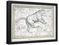 Essential Black