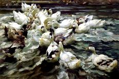 Ducks in the Reeds under the Boughs-Alexander Koester-Giclee Print