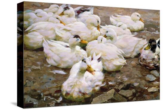 Stretched Canvas Print, , large