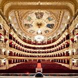 The Odessa National Academic Theater of Opera and Ballet in Ukraine. Central Golden Hall. 06 Jan 20-Alexander Levitsky-Photographic Print