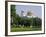 Alexander Nevski Cathedral, Sofia, Bulgaria-G Richardson-Framed Photographic Print