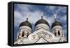 Alexander Nevsky Cathedral, Tallin, Estonia, 2011-Sheldon Marshall-Framed Stretched Canvas