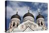 Alexander Nevsky Cathedral, Tallin, Estonia, 2011-Sheldon Marshall-Stretched Canvas