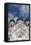 Alexander Nevsky Cathedral, Tallin, Estonia, 2011-Sheldon Marshall-Framed Stretched Canvas