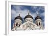 Alexander Nevsky Cathedral, Tallin, Estonia, 2011-Sheldon Marshall-Framed Photographic Print