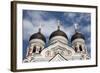 Alexander Nevsky Cathedral, Tallin, Estonia, 2011-Sheldon Marshall-Framed Photographic Print