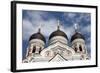 Alexander Nevsky Cathedral, Tallin, Estonia, 2011-Sheldon Marshall-Framed Photographic Print