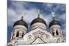 Alexander Nevsky Cathedral, Tallin, Estonia, 2011-Sheldon Marshall-Mounted Photographic Print