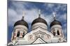 Alexander Nevsky Cathedral, Tallin, Estonia, 2011-Sheldon Marshall-Mounted Photographic Print