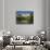 Alexander Palace, Pushkin-Tsarskoye Selo, Saint Petersburg, Russia-Walter Bibikow-Photographic Print displayed on a wall