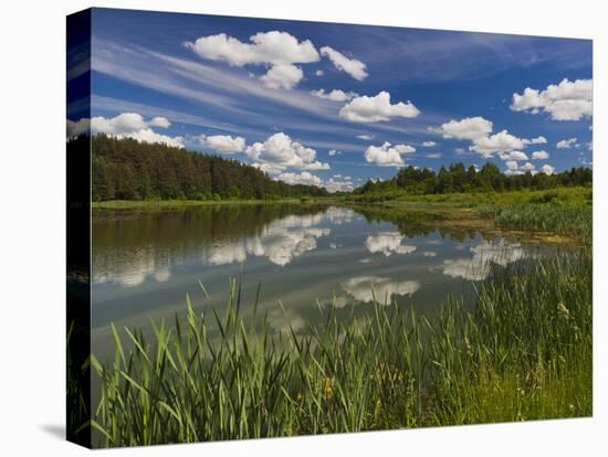 Alexander Pushkin Preserve, Pushkinskie Gory, Pskovskaya Oblast, Russia-Walter Bibikow-Stretched Canvas