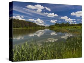 Alexander Pushkin Preserve, Pushkinskie Gory, Pskovskaya Oblast, Russia-Walter Bibikow-Stretched Canvas