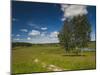 Alexander Pushkin Preserve, Pushkinskie Gory, Pskovskaya Oblast, Russia-Walter Bibikow-Mounted Photographic Print