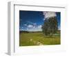 Alexander Pushkin Preserve, Pushkinskie Gory, Pskovskaya Oblast, Russia-Walter Bibikow-Framed Photographic Print