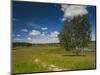 Alexander Pushkin Preserve, Pushkinskie Gory, Pskovskaya Oblast, Russia-Walter Bibikow-Mounted Photographic Print