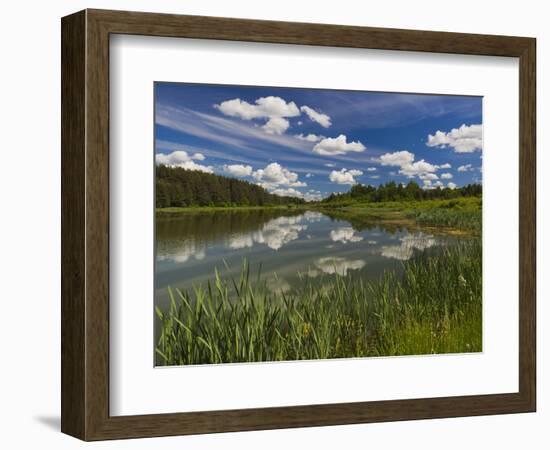 Alexander Pushkin Preserve, Pushkinskie Gory, Pskovskaya Oblast, Russia-Walter Bibikow-Framed Photographic Print