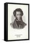 Alexander Pushkin, Russian Poet, Novelist and Playwright-null-Framed Stretched Canvas